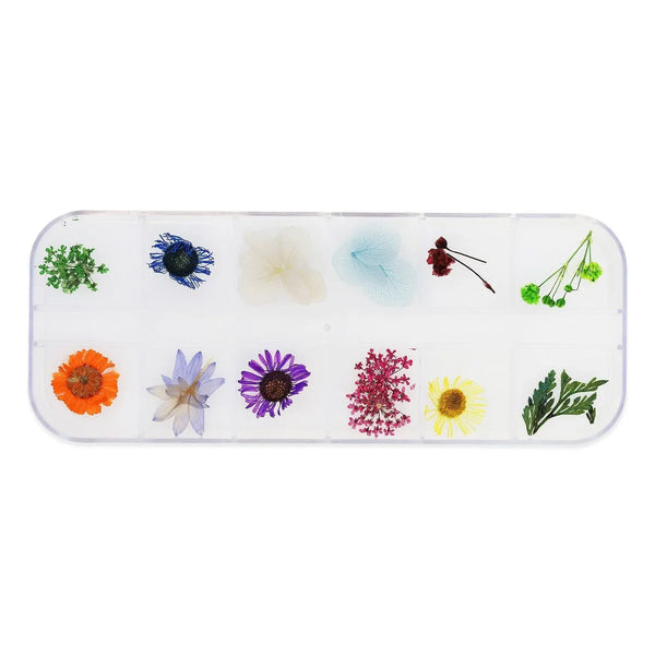 Dried Flower Set - 006   Naio Nails