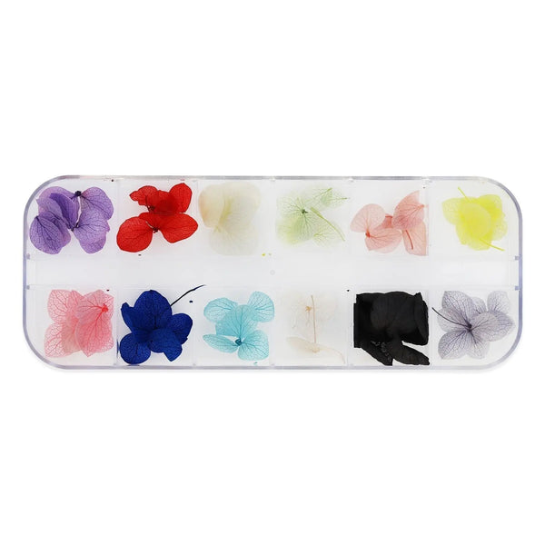 Dried Flower Set - 007   Naio Nails