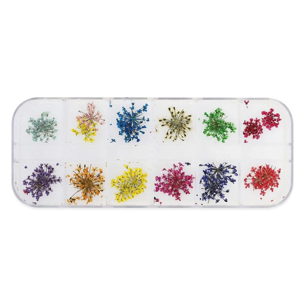 Dried Flower Set - 009   Naio Nails